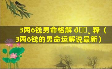 3两6钱男命格解 🕸 释（3两6钱的男命运解说最新）